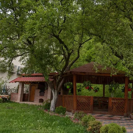 Guest house Dupa Apa La Razvan 3*