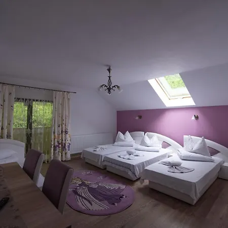 Dupa Apa La Razvan Guest house Sighetu Marmatiei