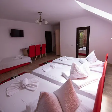 Guest house Dupa Apa La Razvan 3*