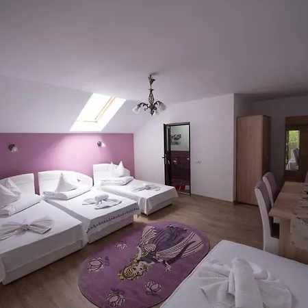 Dupa Apa La Razvan Guest house 3*